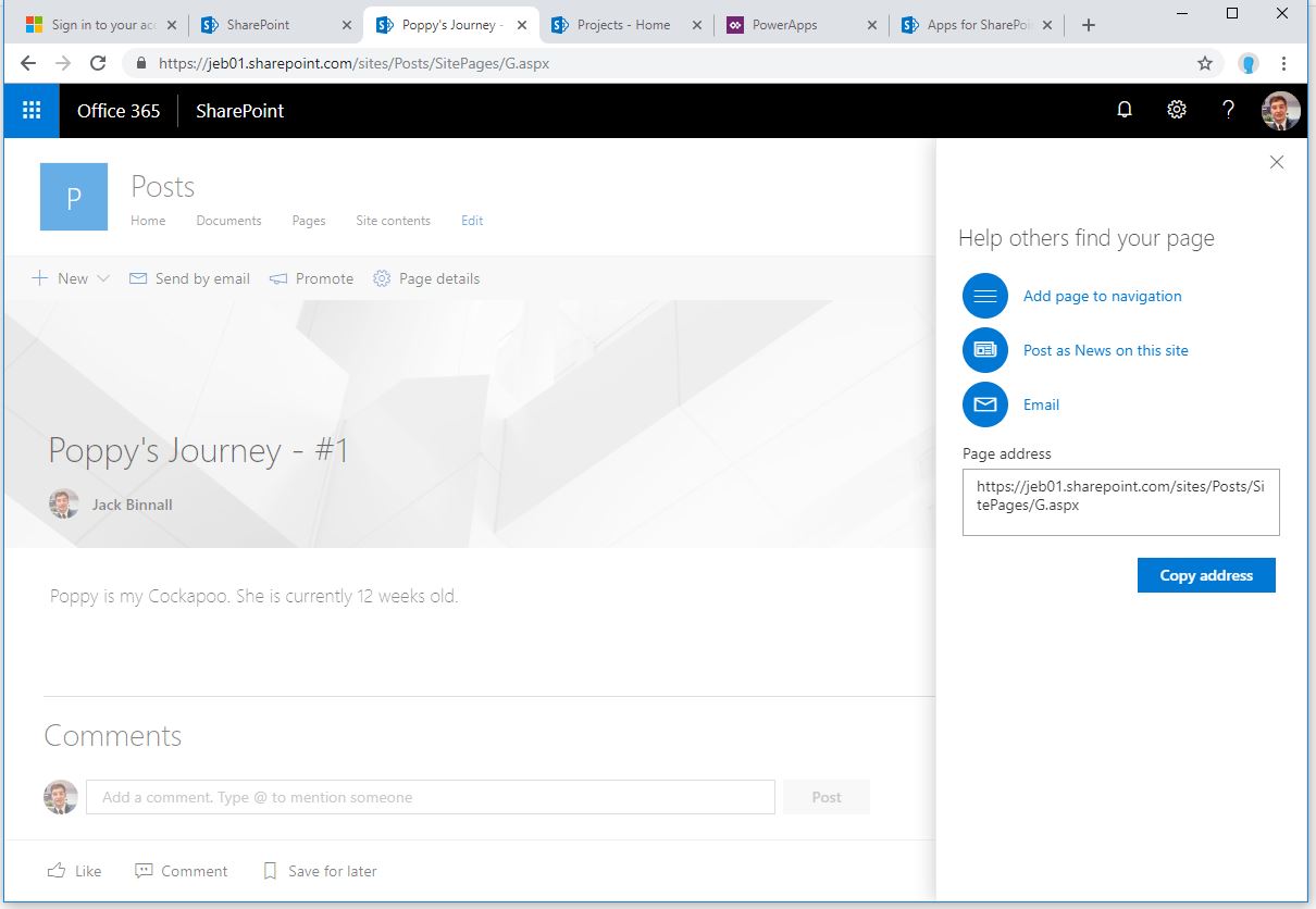 Publish page prompt.JPG